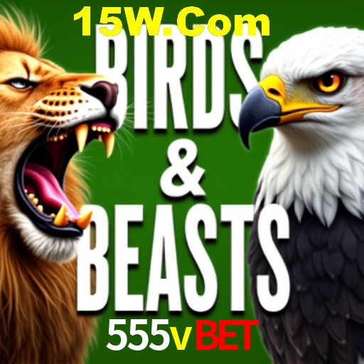 Apostas Esportivas na 555vbet: Um Guia Completo